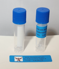 Load image into Gallery viewer, PHX-04  Rabbit Polyclonal Antibody Against Adenovirus Type 5
